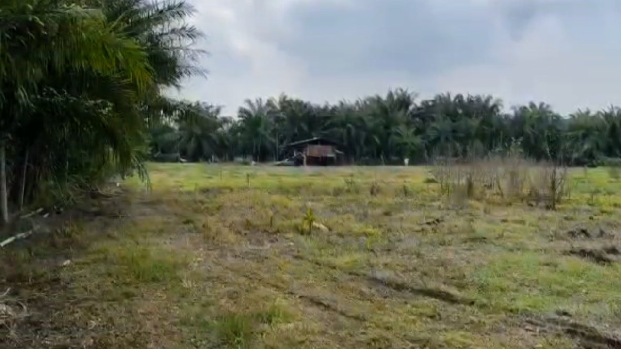 3.2 ACRE LAND | Kuala Selangor