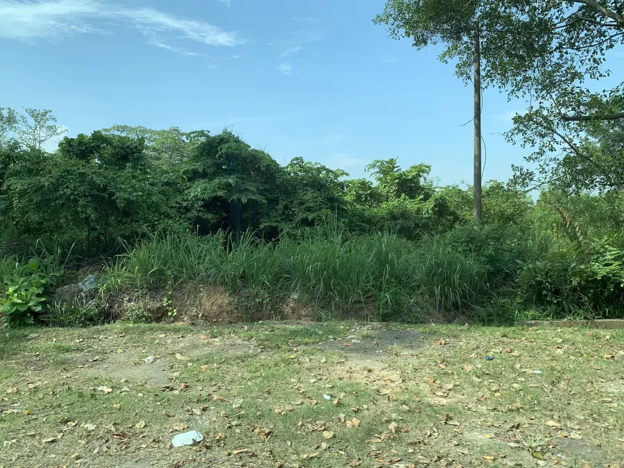 New Leasehold Semi-Detached Warehouses / Factories, Port Klang — photo 6